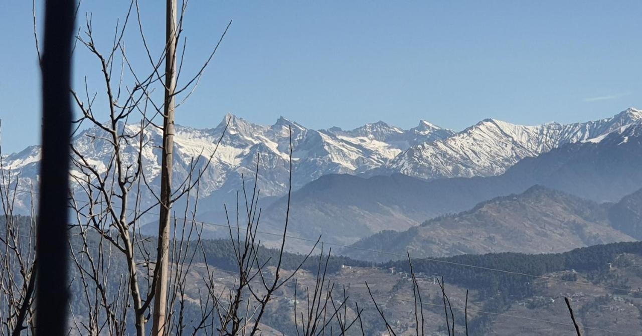 Majestic Himalayan *