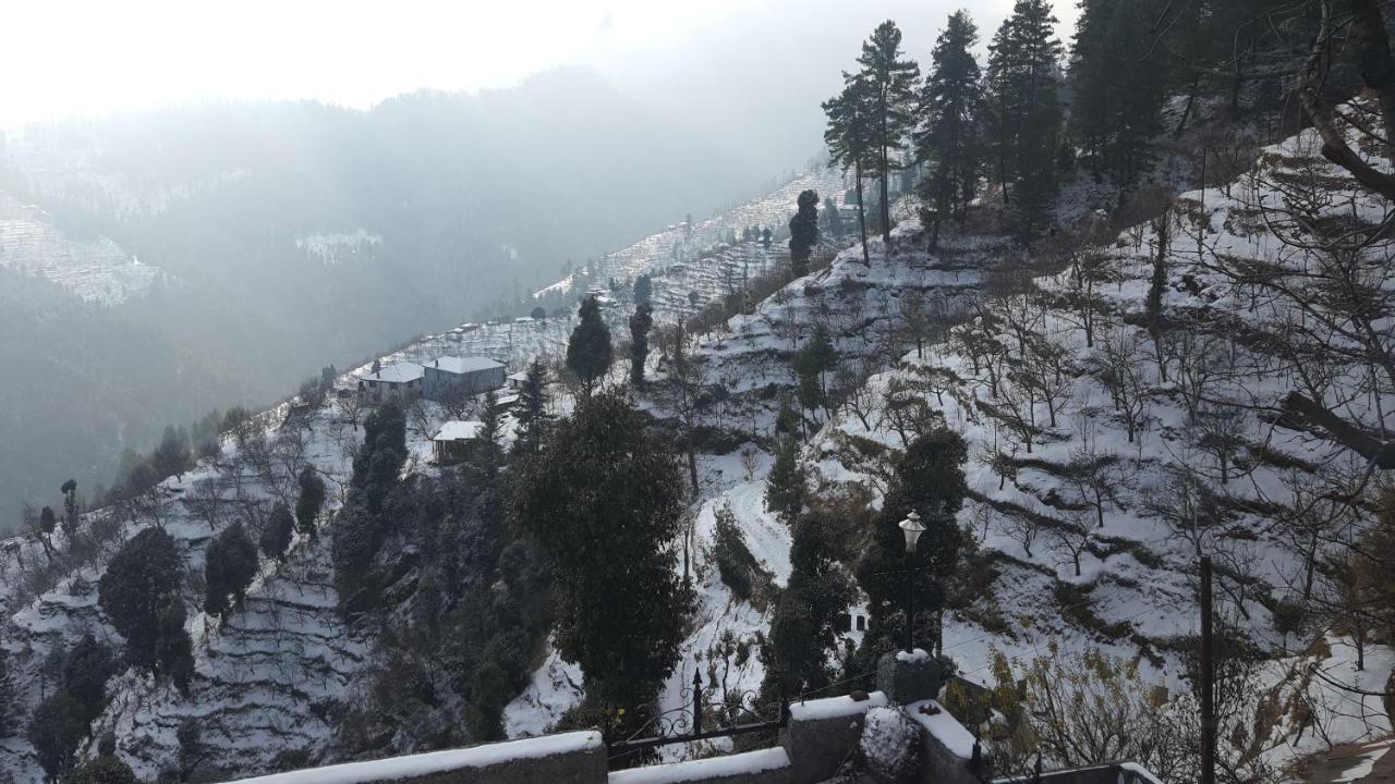 Majestic Himalayan * Narkanda