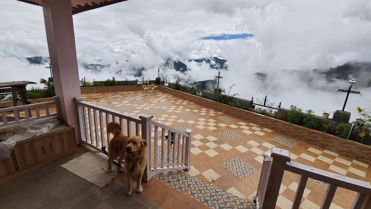 Majestic Himalayan * Narkanda