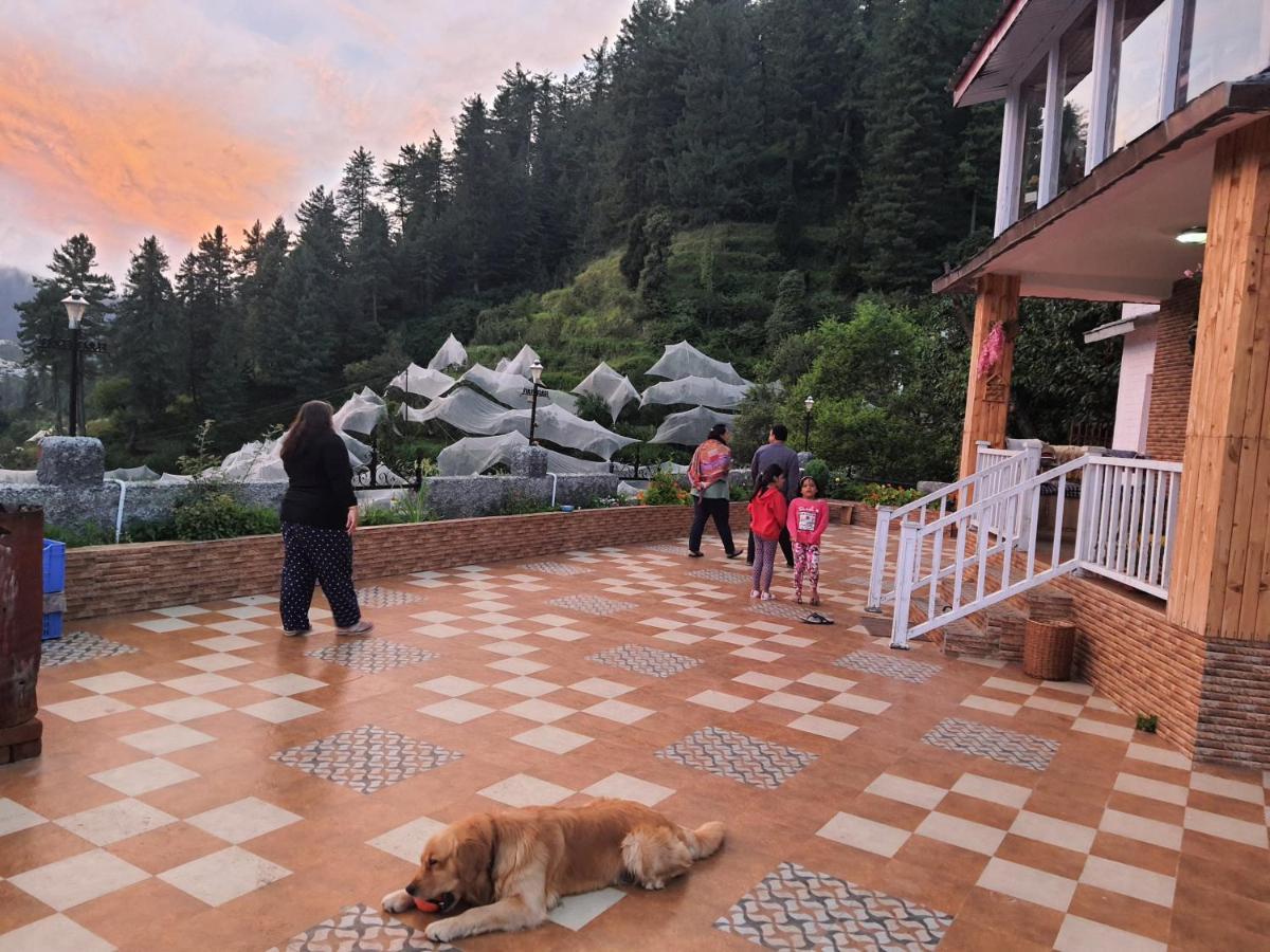 Majestic Himalayan *