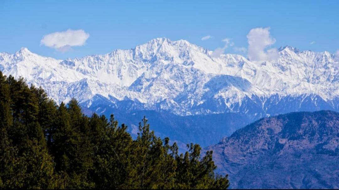 Majestic Himalayan Homestay