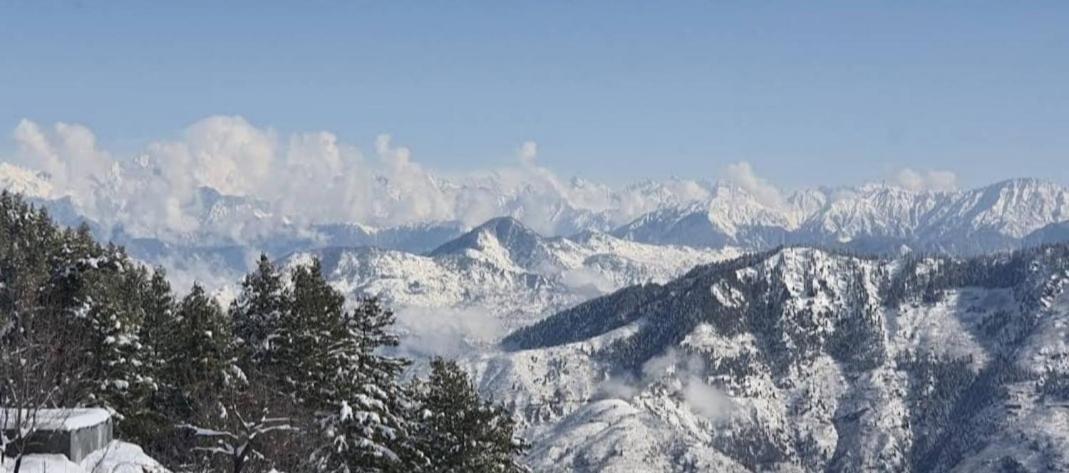 Homestay Majestic Himalayan *