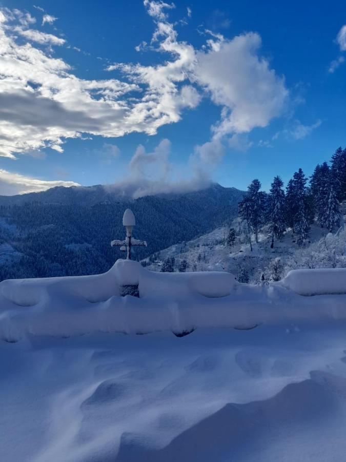Homestay Majestic Himalayan *